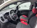 Fiat Panda Pop Weiß - thumbnail 6