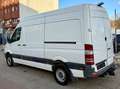 Mercedes-Benz Sprinter II Kasten 316 CDI / AUTOMATIK/ TÜV NEU Weiß - thumbnail 13