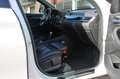BMW X1 SDrive20i Centennial High Executive - PANORAMADAK, Blanco - thumbnail 20