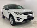 Land Rover Discovery Sport 2.0 TD4 150 CV SE Bianco - thumbnail 3