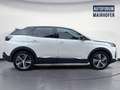 Peugeot 3008 Hybrid 300 4WD Allure Pack Weiß - thumbnail 4