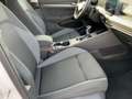 Volkswagen Golf VIII 2.0 TDI ACTIVE LED+NAV+APP+SHZ+PDC+16" Weiß - thumbnail 12