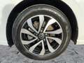 Volkswagen Golf VIII 2.0 TDI ACTIVE LED+NAV+APP+SHZ+PDC+16" Weiß - thumbnail 8