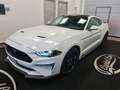 Ford Mustang 2.3 ECOBOOST AUTOMATICA Blanc - thumbnail 14
