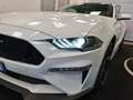 Ford Mustang 2.3 ECOBOOST AUTOMATICA Blanc - thumbnail 10
