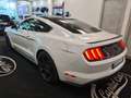 Ford Mustang 2.3 ECOBOOST AUTOMATICA Bianco - thumbnail 15