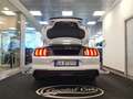 Ford Mustang 2.3 ECOBOOST AUTOMATICA Bianco - thumbnail 13