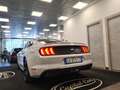 Ford Mustang 2.3 ECOBOOST AUTOMATICA Bianco - thumbnail 21