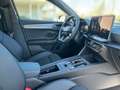 CUPRA Leon 1.5 eTSI DSG ACT Grau - thumbnail 11