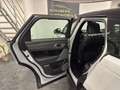 Land Rover Range Rover Velar R-Dynamic HSE AHK Pano Massage Weiß - thumbnail 6