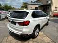 BMW X5 X5 xDrive25d Bleu - thumbnail 11