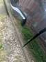 BMW i3 i3 120Ah - 42.2 kWh Advanced - thumbnail 4