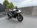 Triumph Speed Triple 1200 RR naked bike - thumbnail 2