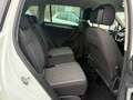 Volkswagen Tiguan 2.0 TDI 122CV 6 MARCE -LIFE- Bianco - thumbnail 10