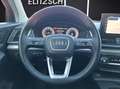 Audi Q5 40 TFSI quattro S-line S-tronic Matrix Luft Nav... Grau - thumbnail 17