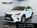 Lexus NX 300h Amazing Edition *Bi-LED*ACC*CAM*SHZ*DAB* Weiß - thumbnail 1