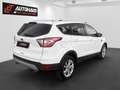 Ford Kuga 1,5 TDCi Titanium Aut. | SEHR GUTE AUSSTATTUNG | Weiß - thumbnail 6