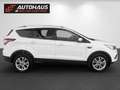 Ford Kuga 1,5 TDCi Titanium Aut. | SEHR GUTE AUSSTATTUNG | Weiß - thumbnail 5