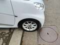 smart forTwo 1.0 MHD 70CV KM 44777- 2014 Bianco - thumbnail 4