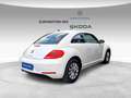 Volkswagen Maggiolino 1.6 TDI Design Blanc - thumbnail 4