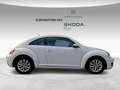Volkswagen Maggiolino 1.6 TDI Design Blanc - thumbnail 5
