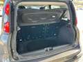 Fiat Panda City Cross 1.2 69cv Grigio - thumbnail 12