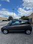 Lancia Ypsilon Ypsilon 1.2 Elle Marrone - thumbnail 7