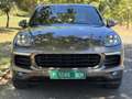Porsche Cayenne Diesel Platinum Edition Aut. Marrón - thumbnail 11
