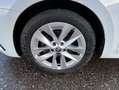 Skoda Octavia Combi 2.0 TDI DSG Style HEAD-UP+NAVI-COL Weiß - thumbnail 8