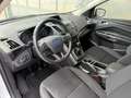 Ford Kuga Trend PDC SITZHEIZUNG 8 FACH AHK BT KLIMA Weiß - thumbnail 4