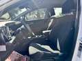 Kia Sportage Sportage 1.6 crdi mhev Style dct Weiß - thumbnail 10