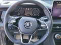 Skoda Kodiaq 4x4 Selection TDI DSG Grau - thumbnail 7