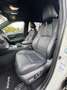 Toyota RAV 4 Plug-in Technik- Style Paket Panodach 1Hand Blanc - thumbnail 14