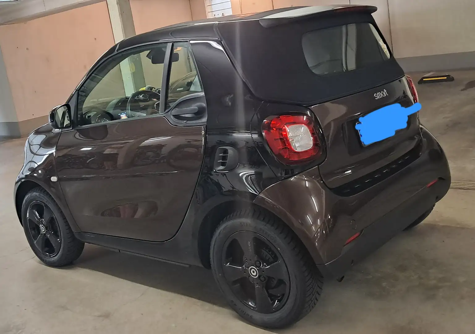 smart forTwo smart fortwo cabrio twinamic prime Braun - 2