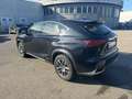 Lexus NX 300 NX Hybrid 4WD Premium      IVA ESPOSTA COMPRESA - thumbnail 2