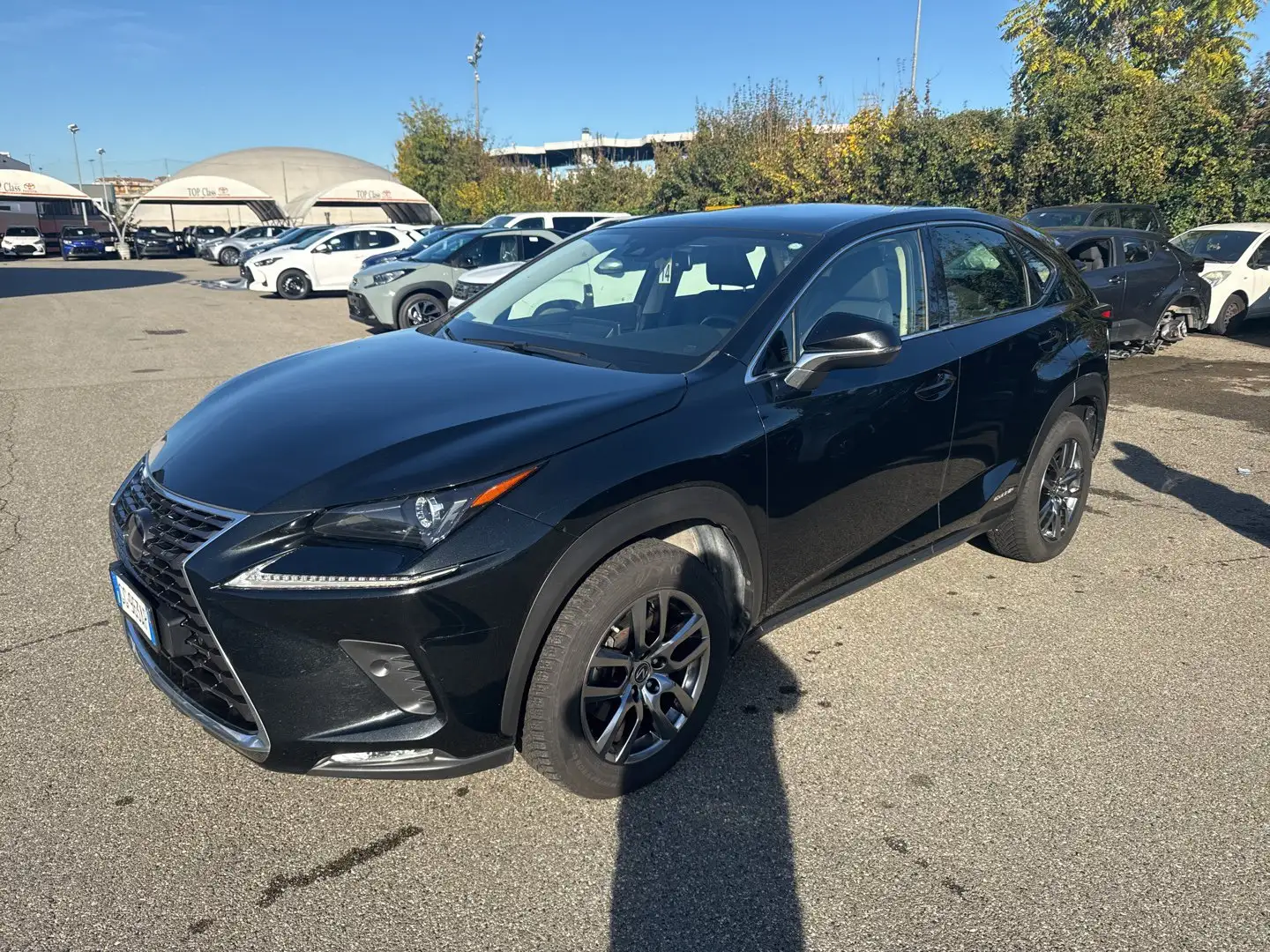 Lexus NX 300 NX Hybrid 4WD Premium      IVA ESPOSTA COMPRESA - 1