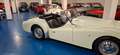 Triumph TR3 A**TARGA MILANO**ASI TARGA ORO Bianco - thumbnail 8