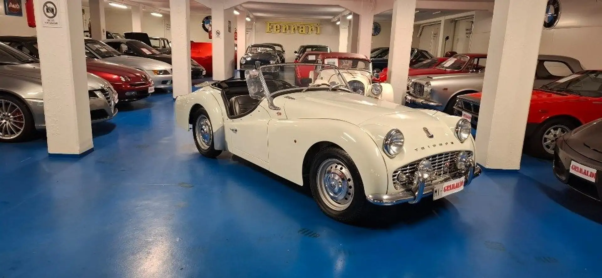Triumph TR3 A**TARGA MILANO**ASI TARGA ORO Bianco - 1