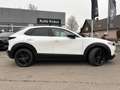 Mazda CX-30 SKYACTIV-G 150 M-Hybrid HOMURA Kamera Head-up Weiß - thumbnail 3