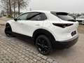Mazda CX-30 SKYACTIV-G 150 M-Hybrid HOMURA Kamera Head-up Weiß - thumbnail 7