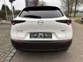 Mazda CX-30 SKYACTIV-G 150 M-Hybrid HOMURA Kamera Head-up Weiß - thumbnail 5