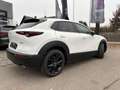 Mazda CX-30 SKYACTIV-G 150 M-Hybrid HOMURA Kamera Head-up Weiß - thumbnail 4