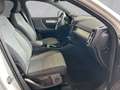 Volvo XC40 Inscription Expression Recharge 2WD T4 EU6d ACC DA Weiß - thumbnail 3