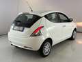 Lancia Ypsilon 5 Porte 1.2  30th Anniversary Blanc - thumbnail 6
