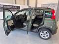 Fiat Panda Panda III 2012 4x4 1.3 mjt 16v 4x4 75cv Vert - thumbnail 14