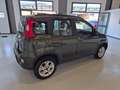 Fiat Panda Panda III 2012 4x4 1.3 mjt 16v 4x4 75cv Vert - thumbnail 9
