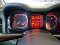 Fiat Panda Panda III 2012 4x4 1.3 mjt 16v 4x4 75cv Vert - thumbnail 18