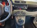 Fiat Panda Panda III 2012 4x4 1.3 mjt 16v 4x4 75cv Vert - thumbnail 20