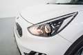 Kia Niro 1.6 PHEV Drive Alb - thumbnail 10
