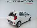 Kia Picanto 1.0 CVVTEco-Dynamics Concept Blanco - thumbnail 5